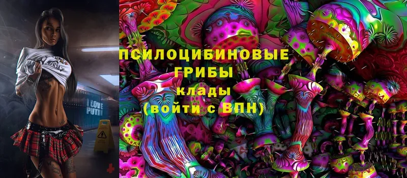 магазин продажи наркотиков  Арск  Псилоцибиновые грибы мухоморы 